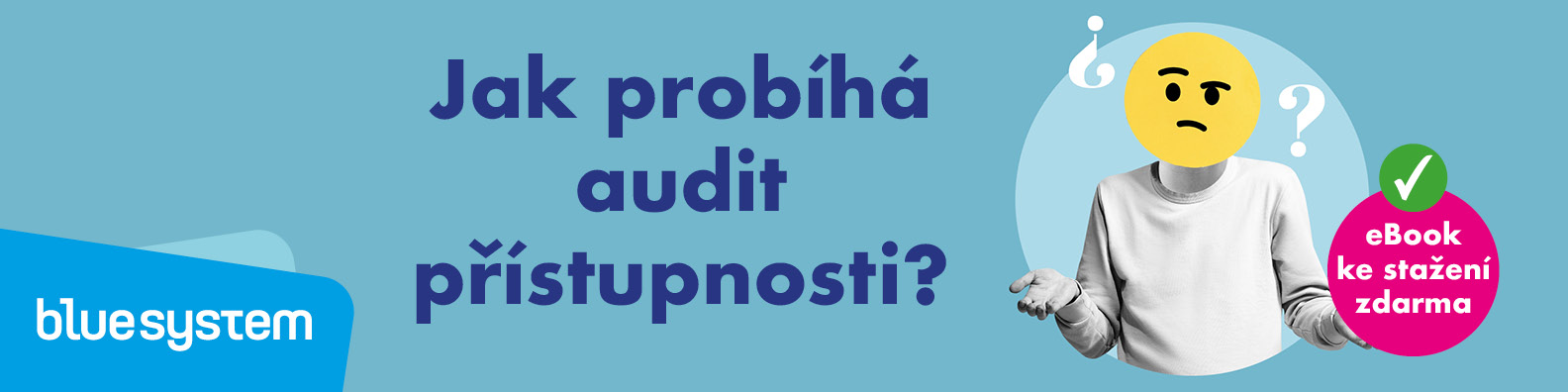 Jak probíhá audit přístupnosti?